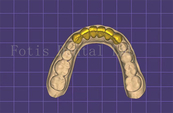 Zastosowalny model usta dentystycznego, autoklawialny, zatwierdzony przez FDA